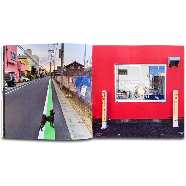 Earthquakes, Shinkansen, Sakuras & Seven-Elevens