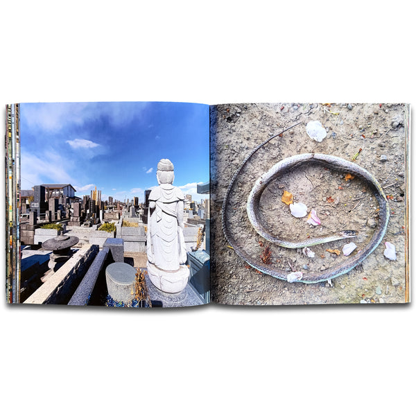 Earthquakes, Shinkansen, Sakuras & Seven-Elevens